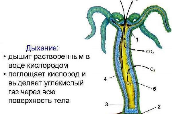2krn сс