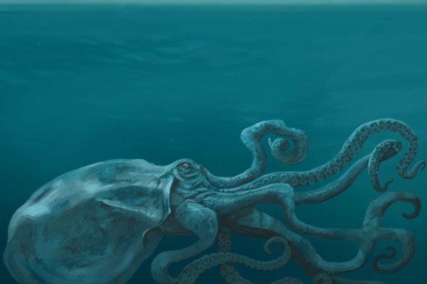 Kraken 15 at