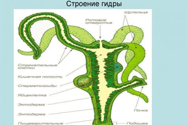 Кракен официальный сайт 2krnk cc